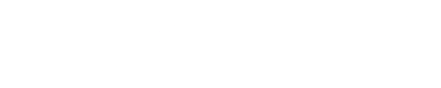 UAE Cyber Security Council